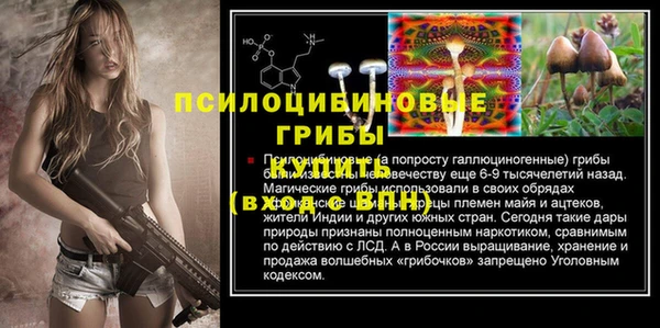 гидра Балабаново