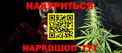 индика Аргун