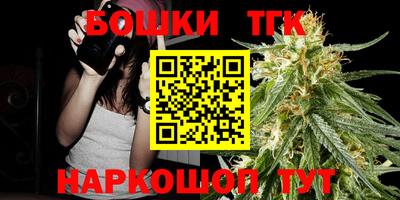 индика Аргун