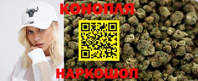 индика Аргун