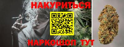 индика Аргун