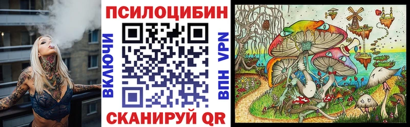 наркошоп  Белорецк  Псилоцибиновые грибы Psilocybe 