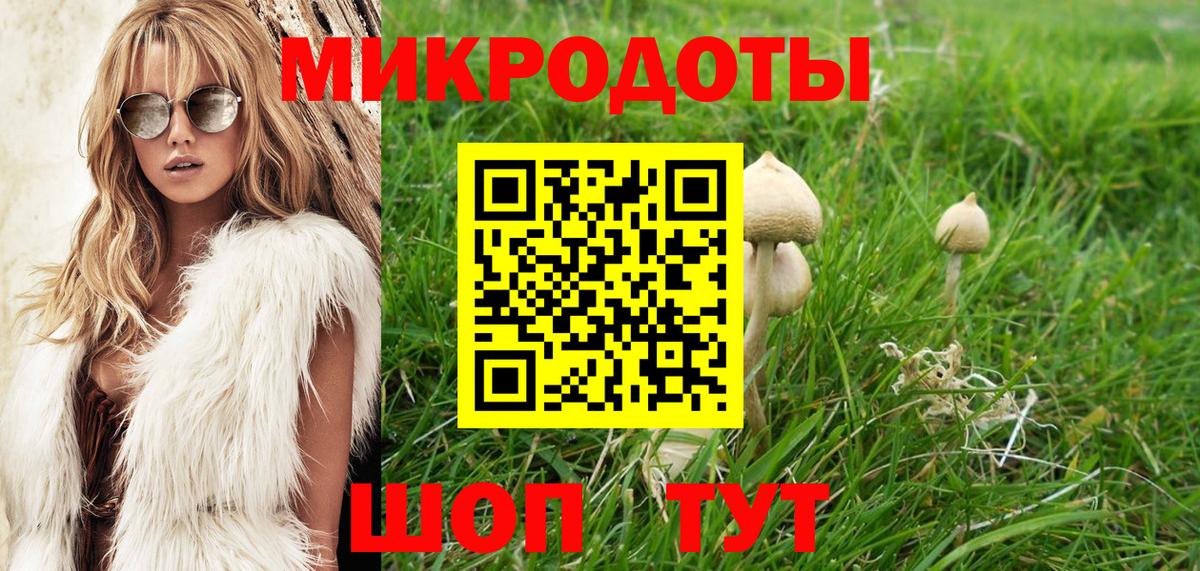Псилоцибиновые грибы мицелий Белорецк