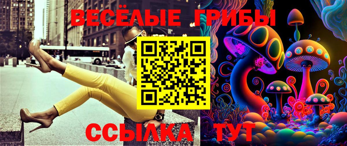 Галлюциногенные грибы Psilocybine cubensis Белорецк
